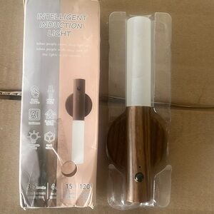 Intelligent induction light